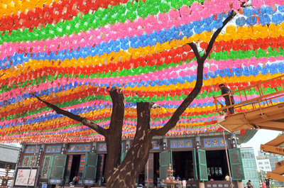 曹溪寺を彩るちょうちん、釈迦生誕祭の準備進む 韓国