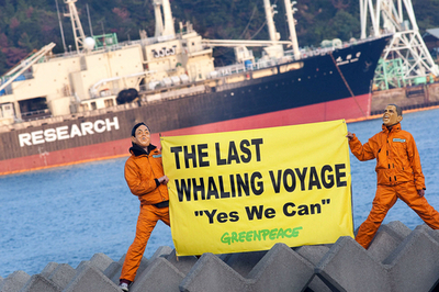 日新丸ら捕鯨船団が出航、グリーンピース発表