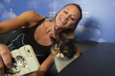 愛猫家のイベント「CatConLa」、今年も開催！ 米LA