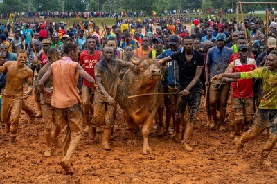 伝統の闘牛で新年祝う ケニア