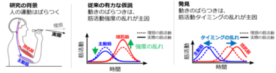 世界初、人の動作の「ばらつき」を生む脳の仕組みを解明 ～医療・スポーツ分野における運動能力の評価・向上への新たな道筋～