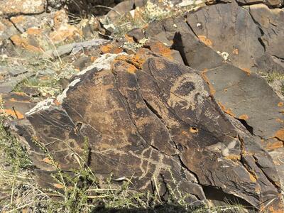 サイラム湖北岸で約2500年前の岩絵群発見 中国新疆ウイグル自治区