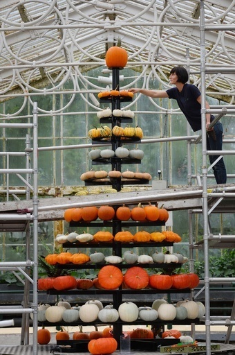 秋の味覚が大集合、英キュー王立植物園 