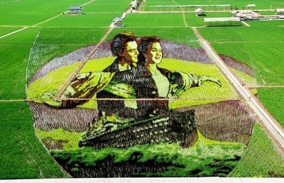 水田がキャンバスに、種類異なる稲使い描く巨大アート 中国・瀋陽