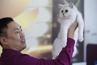 中国のペットは1億匹！ 市場は日本の倍の3兆円