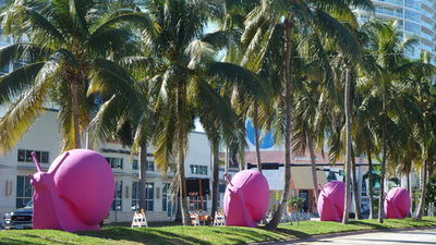 ピンク色の巨大カタツムリがマイアミを襲撃！