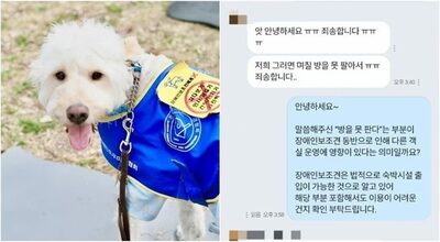 韓国で続発する「補助犬同伴の宿泊拒否」…法と現実の隔たり、浮き彫り