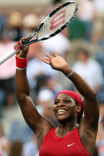 セレーナ サフィナを下しヤンコビッチとの決勝へ