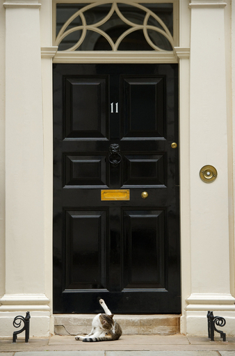 英首相の忙しさをよそに今日ものんびり、ネズミ捕り役のラリー