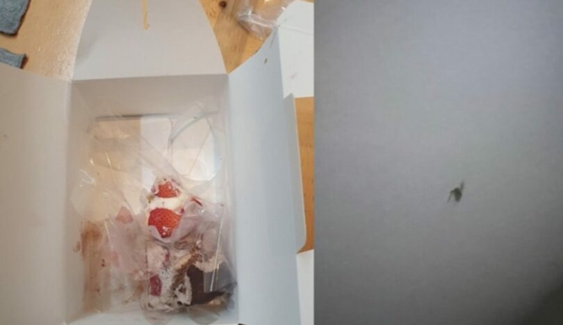 経営者がアップした写真。食べ残しのショートケーキ（左）と虫のように見える物体（右）＝「痛いから社長だ」キャプチャー(c)MONEYTODAY