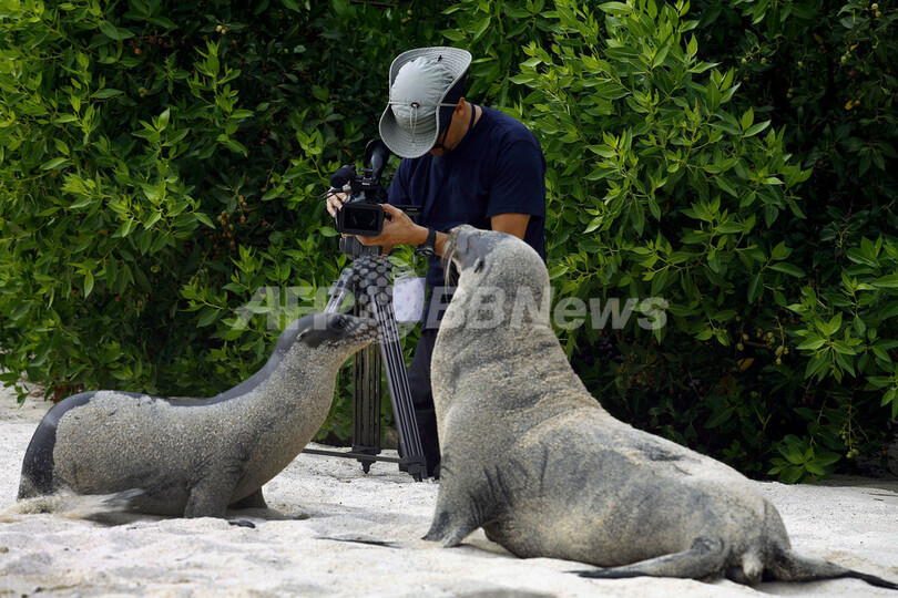 ガラパゴス諸島サン・クリストバル島の動物たち