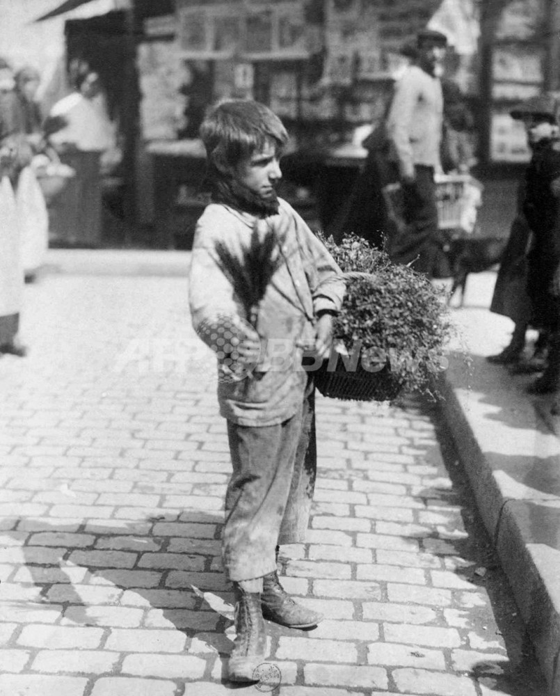 ウジェーヌ・アジェの回顧展が国立図書館で開幕 - フランス 写真3枚 国際ニュース：AFPBB News