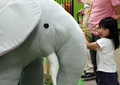 2007年7月21日、千葉の東武百貨店船橋店「船橋タオル動物園」で、タオルで作られた象のぬいぐるみとそばで遊ぶ女の子。(c)AFP/TOSHIFUMI KITAMURA