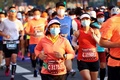上海国際マラソンに出場するランナーたち（2020年11月29日撮影）。(c)STR / AFP