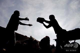 世界初、人の尿かられんが作製 南ア大学 世界初、人の尿かられんが作製 南ア大学