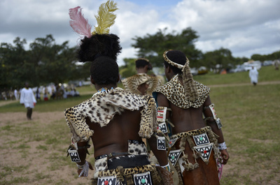 宗教儀式でまとうヒョウ皮が人工皮革に、南ア