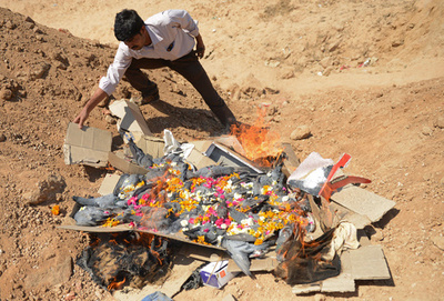 インドで「ハトのお葬式」、工業地区で200羽集団死