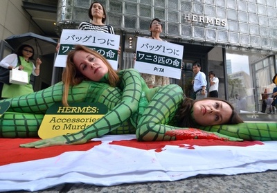 ワニに扮してエルメス革バッグに抗議、東京・銀座