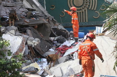 カエル大移動は四川大地震の前兆？当局まきこみ議論紛糾