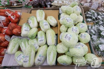 「うちの子は白菜NGと伝えたのに」キャベツ提供…韓国・保護者が幼稚園に抗議、ネット「偏食なら弁当を」