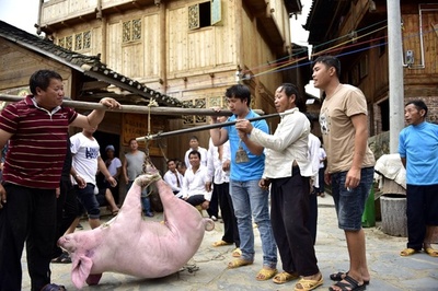 新米の豊作を祝うトン族の「新米節」 中国・貴州