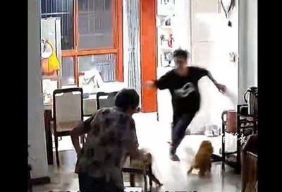 地震発生の瞬間 孫が足の不自由な祖母を抱き上げて避難 中国