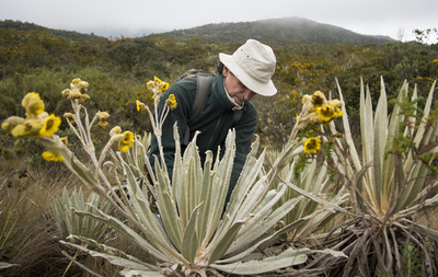 地雷原も越えて…命懸けの植物採取、コロンビアの植物学者