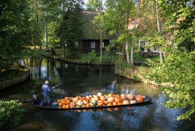 小舟でゆっくりカボチャを運ぶ、独レーデ