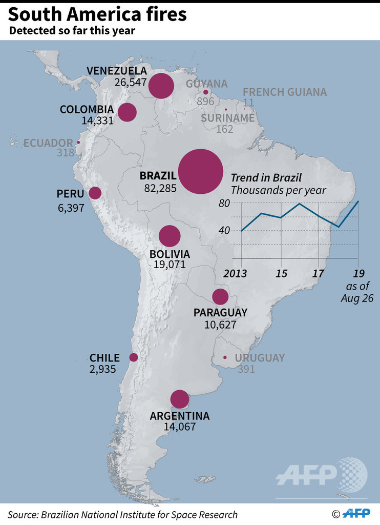 G7のアマゾン火災支援は「ごくわずか」 ボリビア大統領が一応の謝意