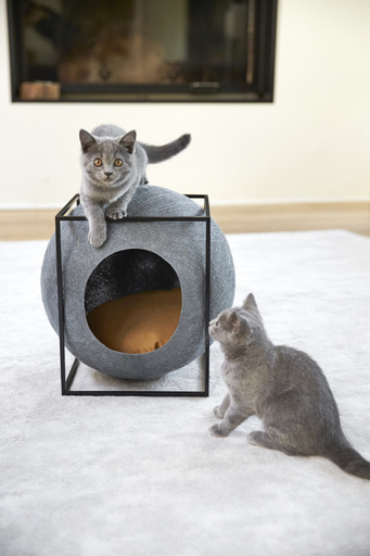 meyou paris キャットハウス グレー パリ発「MEYOU」日本初上陸、おしゃれなキャットハウス 写真20枚 国際