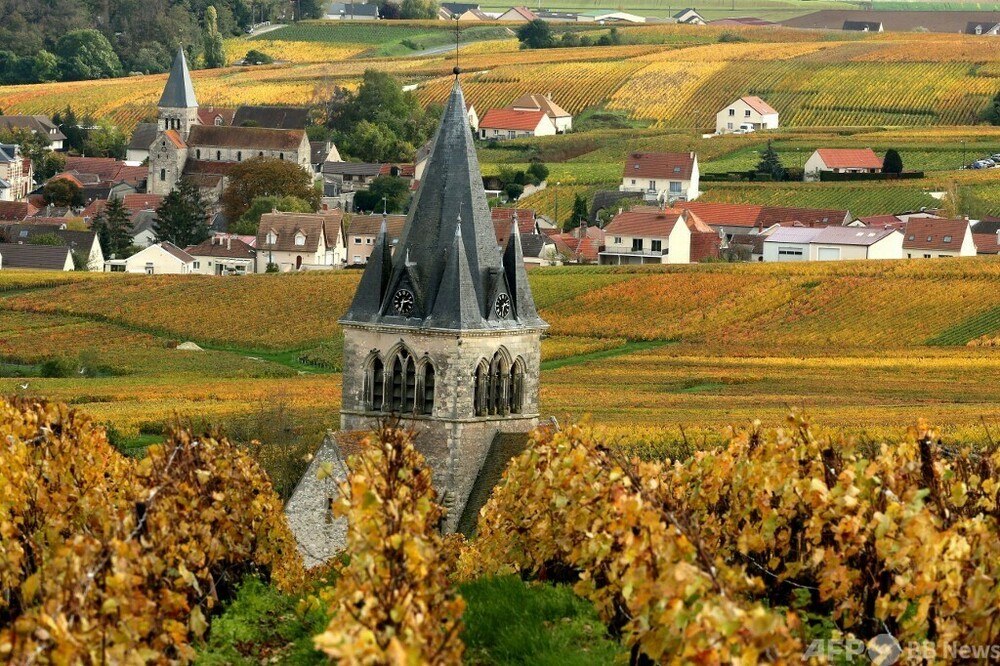 ビールのシャンパン」2352缶廃棄、原産地呼称侵害で 写真3枚 国際