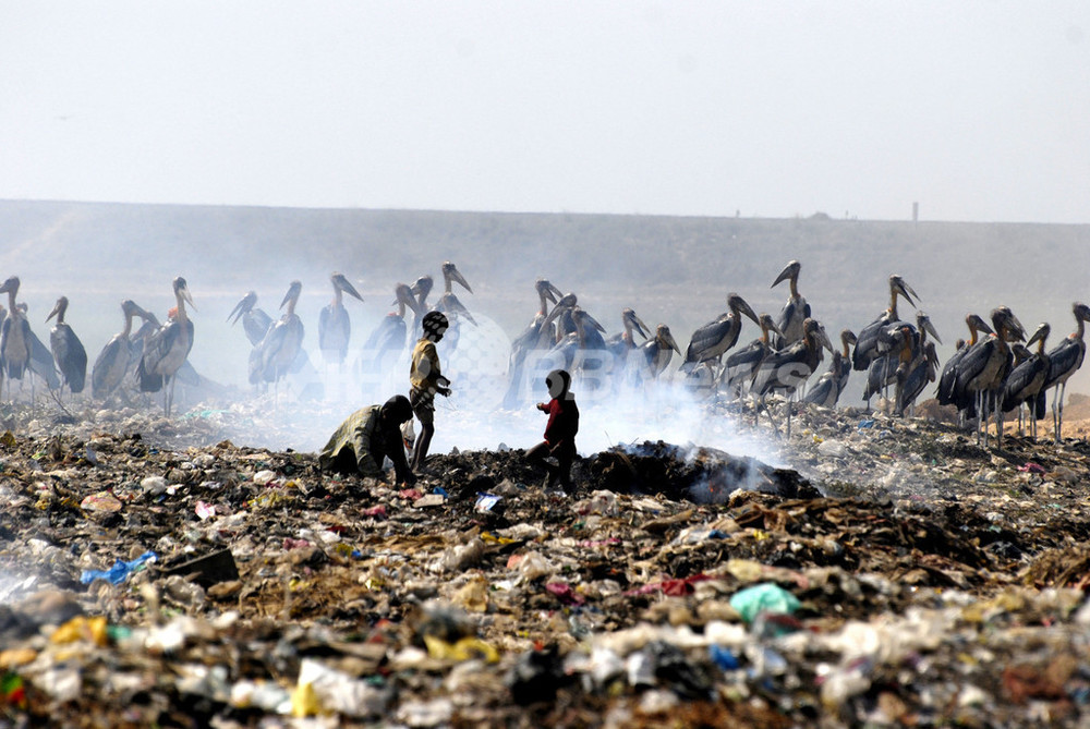ごみ捨て場に集うオオハゲコウと子供たち、インド 写真2枚 国際ニュース:AFPBB News