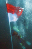 インドネシアの64回目の独立記念日に、北スラウェシ州（North Sulawesi）のマナド（Manado）でギネス世界新記録（Guinness Book of World Records）達成に挑戦し、海中に国旗を立てるスキューバダイバーたち（2009年8月17日撮影）。(c)AFP/Sonny TUMBELAKA