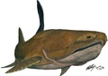 中国で化石が発見された古代魚「Entelognathus primordialis」の想像図（2013年9月24日提供）。(c)AFP/NATURE/CHINESE ACADEMY OF SCIENCES/BRIAN CHOO