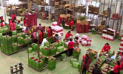 中国の実物商品のネット小売額、初めて180兆円を突破