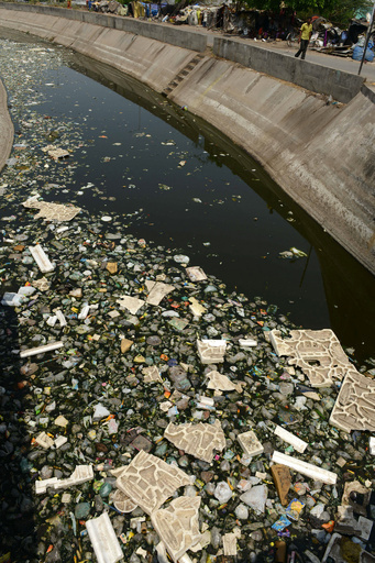 環境考える「アースデイ」、汚染が深刻なインドで