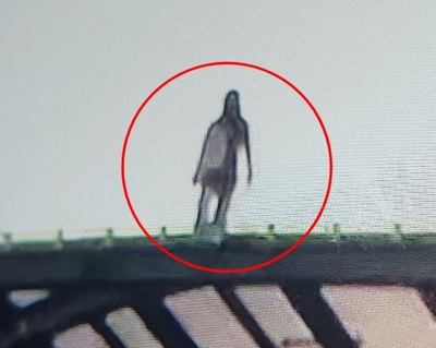 「怖い」「幽霊」「鳥肌」相次ぐ衝撃の声…韓国・高速道路トンネル上「あり得ない」人の姿