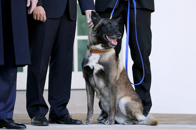 対IS作戦の英雄犬披露 トランプ氏「素晴らしい働き」称賛