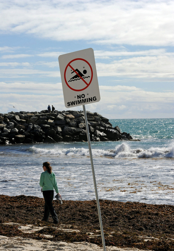 豪ビーチ、一夜にして海藻に埋まる