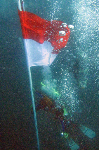 スキューバダイバー2486人のギネス記録達成