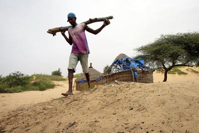 砂漠化対処の国連会議不調に終わる、NGO報告
