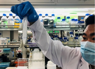 中国、でんぷんの人工合成に世界で初めて成功