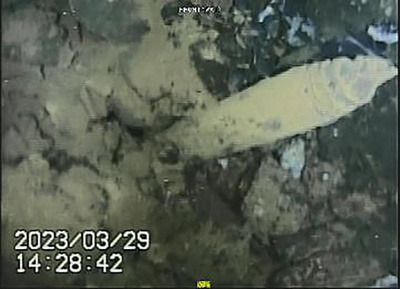 Video probe shows internal damage to Fukushima reactor