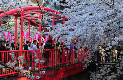 「東京体験館」が北京にオープン
