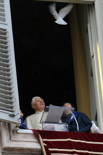 飛び立たずに部屋に戻る「平和の象徴」、法王もびっくり？