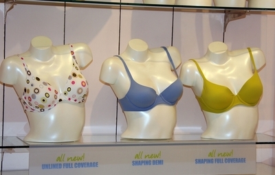 下着の詰め物は「新品のみ」、表示新規制に業界が反発 カナダ