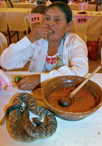 珍食材が振舞われるグルメ・イベント開催 - メキシコ