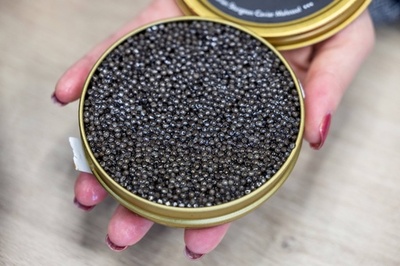 「ロシア産キャビア」 虚像と闘うポーランドの生産業者