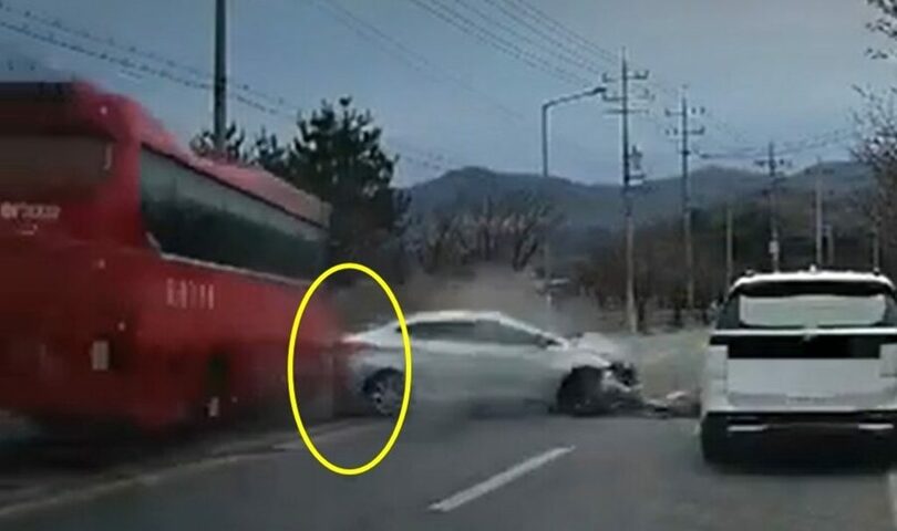 陰城タイムズYoutube(c)news1