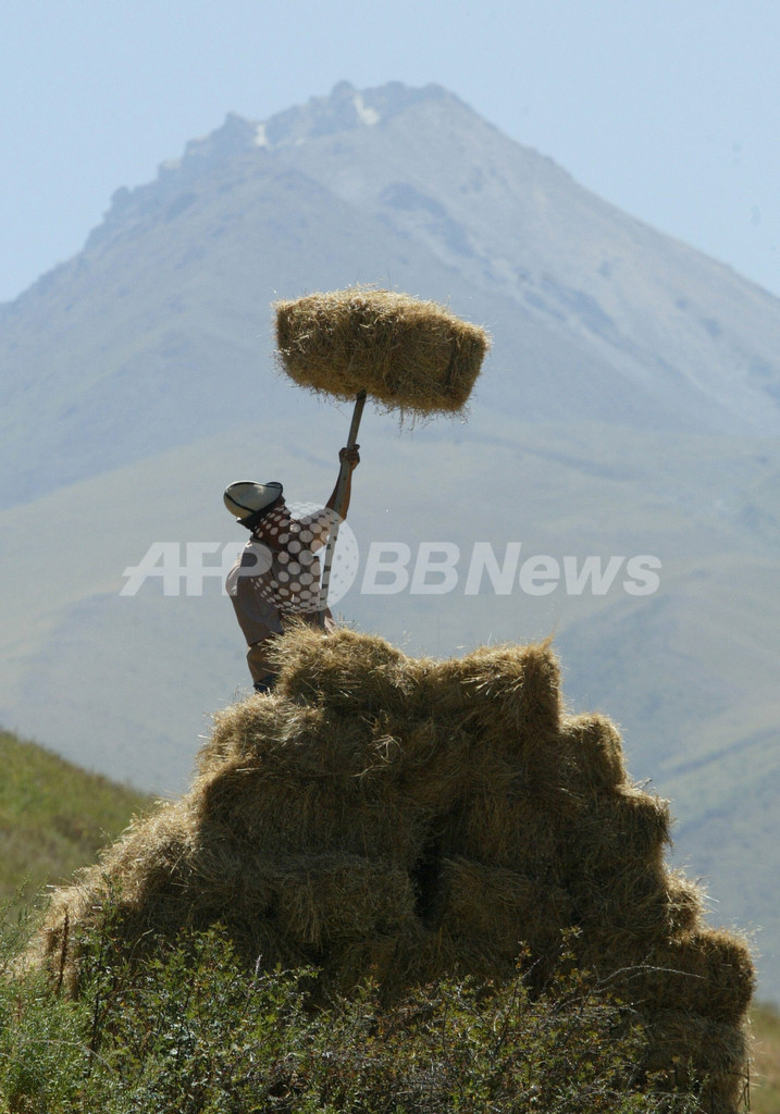 冬に備えて干し草収穫 キルギス 写真2枚 国際ニュース Afpbb News